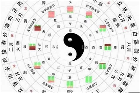 五行強弱|【完結】八字命理小白基礎 ｜ 如何判斷身強還是身弱？（三）